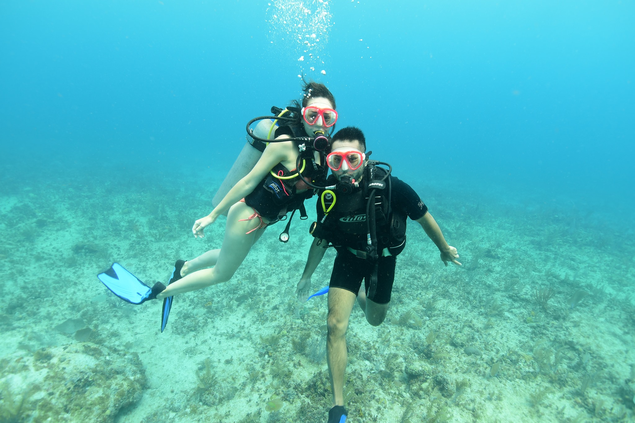 sunny travel buceo